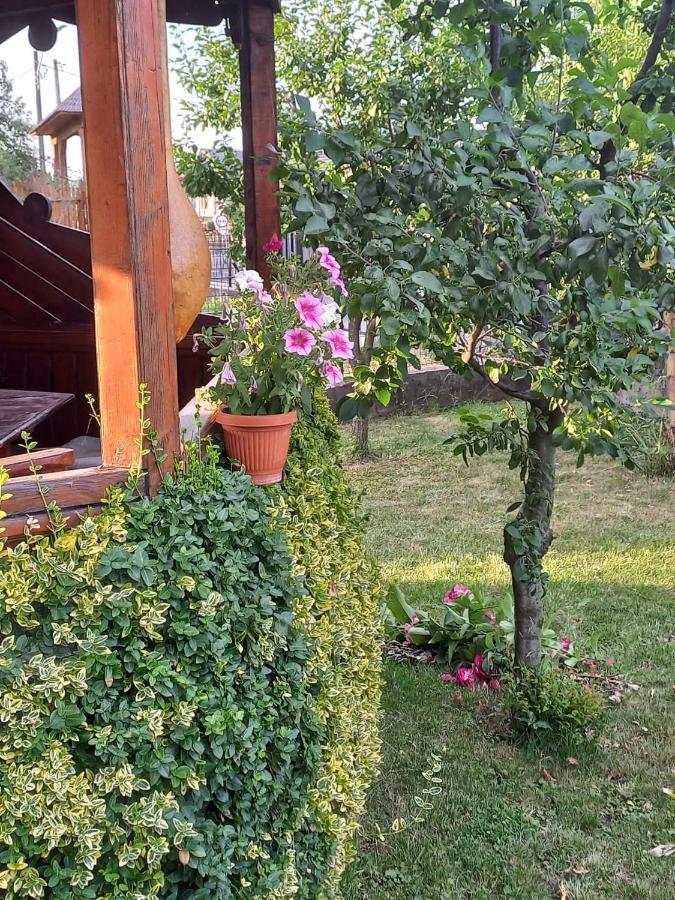 Pensiunea Ghita Vasile Ваду Изей Екстериор снимка